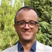 Ingegnere elettronico